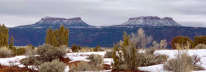 Bears Ears Native American Ruins