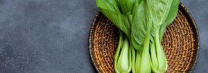 bok choy grey background