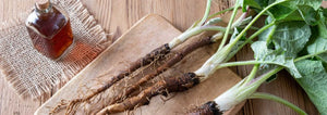 Burdock Root and Tea