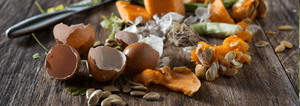 food scraps for composting