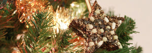 birdseed tree ornament diy