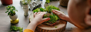 Easter Microgreen Garden