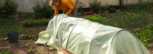 Woman checking her low tunnel covered crops