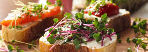 Fancy Microgreen Toast