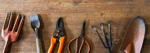 Rusty garden tools on a table