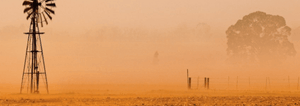 dust sweeps across a field during the dry season