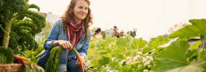 woman harvesting carrots