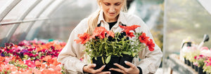 Someone holding indoor flower starts