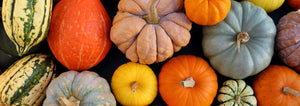 assorted squashes