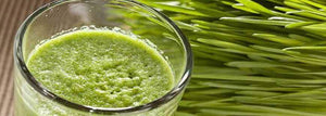 The Benefits of Wheatgrass Juice