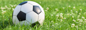 soccer ball on grass