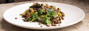 Warm French Lentil Salad