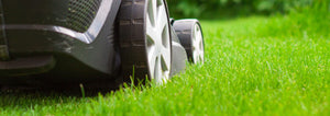 mowing bright green grass