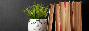 plant and books on desk