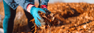 woman picking up leaves