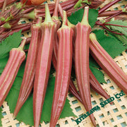 Okra Seeds - Jing Orange