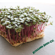 hong vit microgreens