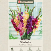 Gladiolus Bulbs - Mardi Gras Mixture