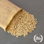 Einkorn Grain Organic