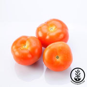 Tomato Seeds - Salad - Juanne Flamme Orange