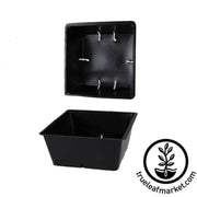 Tray Insert 5x5 10 Cell Pack 