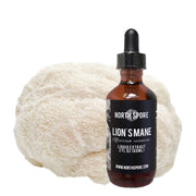 Lion's Mane Mushroom Tincture