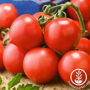 Tomato Seeds - Riesenstraube