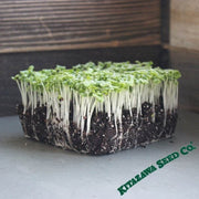 Mustard - Tokyo Bekana - Microgreens Seeds