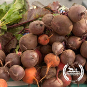 Beet Seeds - Detroit Mix - Organic