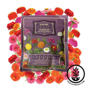 Flower Mix - Zinnia Special Collection