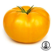 Tomato Seeds - Beefsteak Yellow