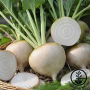 White Detroit Beet Seeds