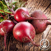 Beet Seed | Bull's Blood Garden Seed