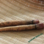 Burdock Seeds - Watanabe Early