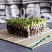 Kogane Cabbage Microgreens