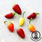 Cascabella Pepper Seeds