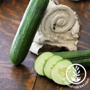 Tendergreen Burpless Cucumber Garden Seeds