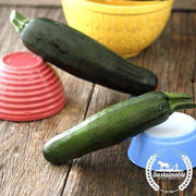 Organic Dark Green Zucchini Seeds