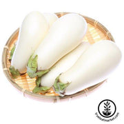 Casper White Eggplant