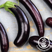 Little Finger Purple Eggplant Seeds