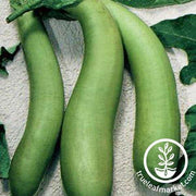 Louisiana Long Green Eggplant Seeds