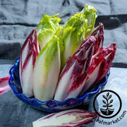 Gourmet Mix Endive