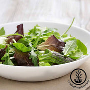 Mesclun Mixed Greens Lettuce