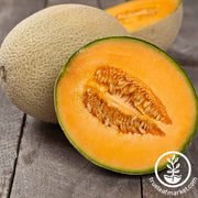 Melon Cantaloupe Imperial 45 Seed