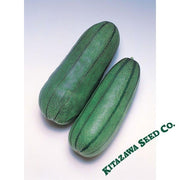 Pickling Melon Seeds - Green Striped