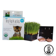 Mini Pet Grass Kit