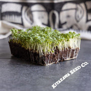 Mustard Seeds - Golden Streak - Microgreens Seeds