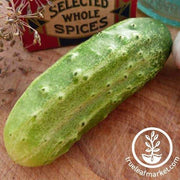 national pickling cucumber