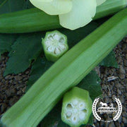 Organic Clemson Spineless Okra Seeds