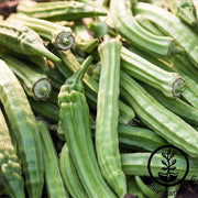 Okra Seeds - Emerald